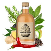 Brainstorm Original Gin - GiNFAMILY